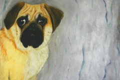 Web_Mops